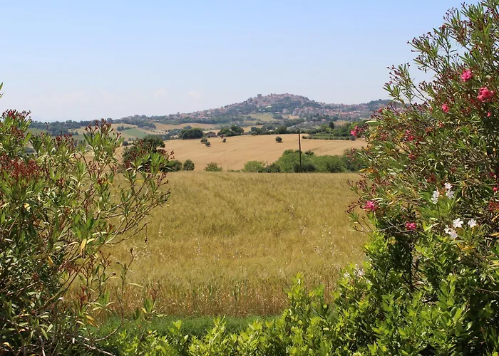 Villa Belvedere Degli Ulivi